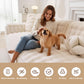 Soulsfeng Dog Couch Cover